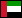WormNET Flag 83 - United Arab Emirates.png